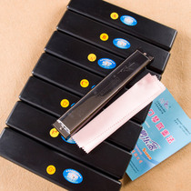 Swan 24 holes playing retone harmonica Harmonica Harmonica A#C#D#F#G#调降E调 tune A#C#D#F#G#调降E调