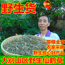 (Wild crane grass)Dabie Mountain farm herbs wild 500 grams of dragon bud grass off-force grass mace grass