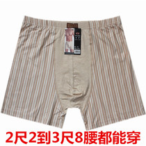 Good to be made of natural color cotton striped underwear Garfertilizer with increased underpants flat corner pants male fattener flat angle pure cotton cotton fabric