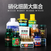 Aquarium Township] Nitrifying bacteria imported from France Cody Bolon Q brand Nitelli fish freshwater EM digestive live bacteria