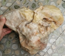 Ning Qiang Coral Jade Beasts First Bull Goat Head Snowflake Pendulum with Fossil Chi Stone shaped Elephant Stone Finely Polished L