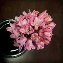 To fill the post of postage