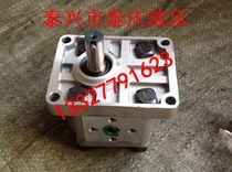 CBN-E304 306 308 310 312 314 316 318 320 325 Gear oil pump high pressure unit