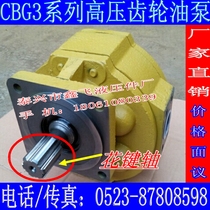 CBG3125 CBG3140 CBG3160 3180 CBG3200 high-pressure gear pump 3100 ship pump