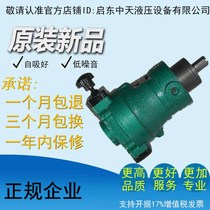 10SCY 25SCY 40SCY 63SCY 80SCY 100SCY 160SCY14-1B Qidong plunger pump