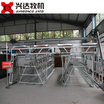 Laying hens automatic feeding machine Automatic chicken equipment feeding machine Spray paint factory direct sales