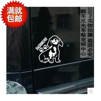 Reflective Waterproof Car Sticker Dax Cruze H2H6 IX25IX35 Angkersayla