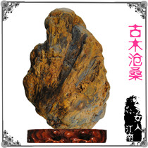 Ancient wood vicissitudes of trees and jade Natural raw stone hand play pieces jade ornamental seeds