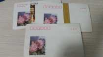 1982 Chrysanthemum Pattern 2 Old envelope Jinzhou Printing factory