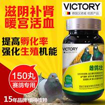 Hannover pigeons female pigeons strong breeders pigeons treatment of infertility non-production soft shell sand egg pigeon medicine