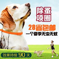 Pet deworming cats and dogs with flea collar cat lice removal ring to prevent lice jumping