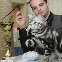 CFA competition special cat stick wild pheasant hair cat stick cat crazy cat toy feather stick