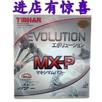 TIBHAR straight and straight EVOLUTION MX-P change energy table tennis rubber reverse glue
