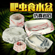 Climbing Flattering tortoise palate lizard Lizard Spider Horn Frog Turtle Box Emulation Rock Basin Eating Pan Water Pan Reptile Turtle