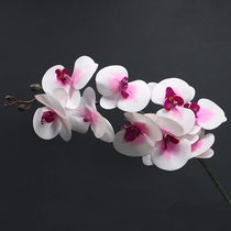 (Time and home) simulation Phalaenopsis single home model house decoration floral silk flower fake flower orchid