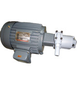 Weiliang oil pump WLP oil pump motor combination ROP-2HA-400W 750W 1500W