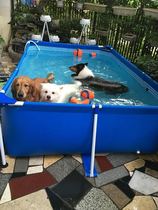 Large clip net pool Baby swimming pool Mesh adult goldfish pool bracket pool Pet pool Splash pool