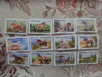 Special price foreign French letter stamp issued in 2013 horse set 12 full