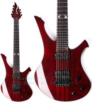 Customer customizes the Equilibrium -accipiter through body 7 string electric guitar