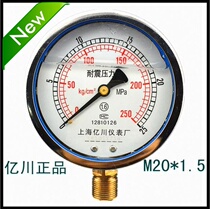FACTORY DIRECT SALES Shanghai YICHUAN EARTHQUAKE-RESISTANT PRESSURE GAUGE YN100 0~25MPA 1 LEVEL 6 M20*1 5