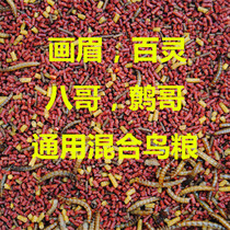 Bird food myrten brother thrush lark bird food mixed nutrition grain 500g buy 9 Get 1