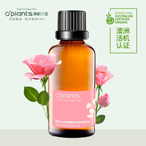 OPlants Romantic fragrance Rose Massage Oil 50ml Brighten skin tone hydration moisturizing