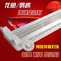 LED aquarium fish tank lamp holder Red arowana brightening and color rendering Parrot fish special shelf lamp ultra-bright red light