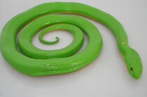 Arrival land marine animal animal model toys reptile ornaments green snake green snake toy