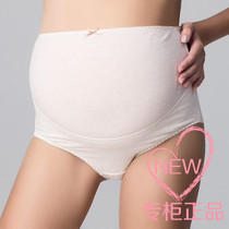 Pregnancy color pregnant women underwear pregnant women general new color cotton high waist belly underwear
