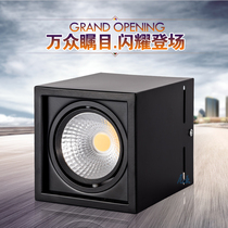 Ming Loaded Spotlight Square Led Spotlight Smallpox CEILING LIGHT Bucket Biliary Lamp Cob Spotlight Exterior Spotlight Suction Top Spotlight