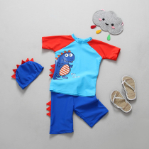  South Koreas new foreign trade boys swimsuit dinosaur childrens beach swimsuit pants sunscreen split suit handsome surf suit