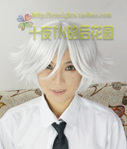 Ten nights TN Genki girl Fate knot God Ruixi Gintama sex to silver sex to silver COS wig