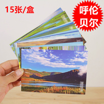 15 Selected (Hulunbuir) postcards Inner Mongolia grassland tourist scenery souvenir greeting cards