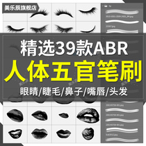 F452 PS human facial features brush eyelash eyes brush human body brush skin hair CG painting illustration ABR