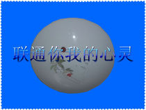 Ceiling lamp 2G 3G 4G 2 4G WIFI spotlight Street lamp Cell base station coverage Indoor and outdoor beautification antenna