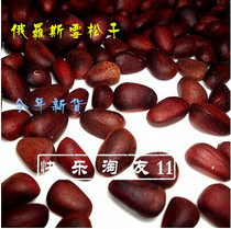 Wild pine nuts Russian original snow pine nuts 500g healthy snacks boiled light salty 250g