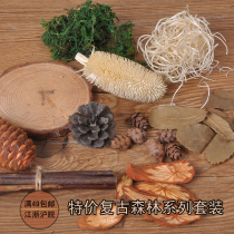 Dried fruit photo background props retro pine ball wood piece ornaments forest baby set photography retro props