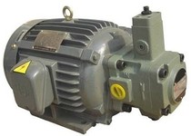 Variable vane pump plug-in hydraulic motor set