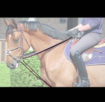 Belgian Dyon equestrian reins reins training reins auxiliary reins equestrian training reins