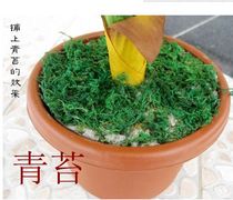 Moss simulation flower fake flower silk flower plastic flower arrangement auxiliary material green plant artificial Moss mud