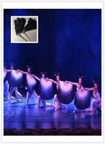 Original ink book rhyme classical dance folk dance Yangko performance dance fan single dance fan Jiangnan performance Fan