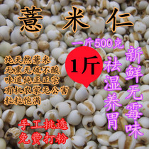 Big barley tea raw coix seed tea Guizhou Farm new barley rice flour high quality white barley porridge without sulfur