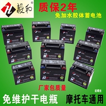 Motorcycle 12V battery maintenance-free 9A moped 125 scooter 7A curved beam car general dry battery battery