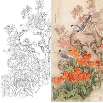 Meticulous painting white drawing draft four feet Tulip beam Yansheng white paper printing 66*130 with color picture 051T