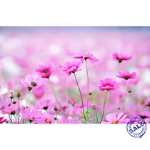 Chemical Enterprise Production Management System Chemical Production Management Software Production Management System