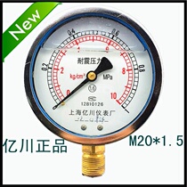 Factory direct sales Shanghai Yichuan instrument factory earthquake-resistant seismic pressure gauge YN100 0~1mpa