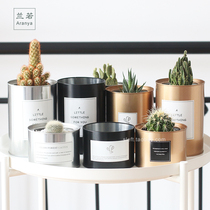 Metal industrial wind ins Korean wind chic succulent cactus tin can flower pot flower pot ins wind sticker potted pot