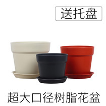 Thickened imitation ceramic resin king size flower pot fleshy plastic balcony European potted green dill plant pot send tray