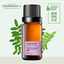 Frankincense Single Essential Oil 10ml Australian essential oil to soften fine lines dry lines and tighten the skin
