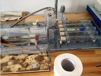 Test tube nest Town shop treasure Roller coaster nest Ant Nest (no goods)